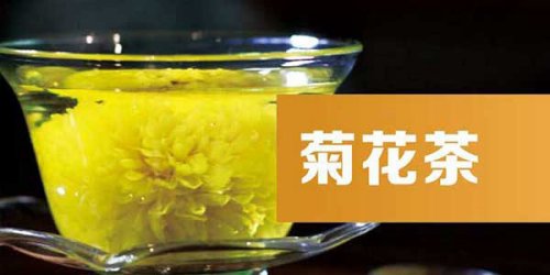 金丝皇菊花茶